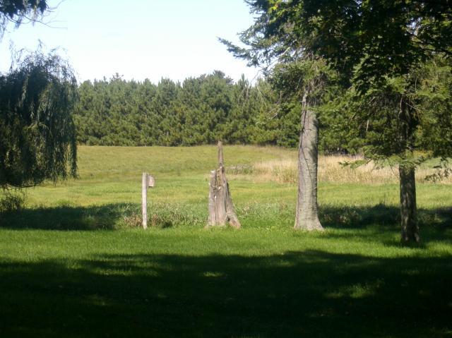 99279_cimg2741.jpg