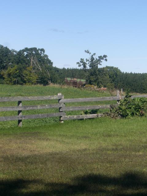 99279_cimg2742.jpg
