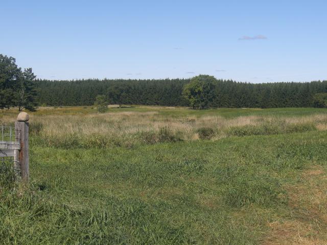 99279_cimg2757.jpg