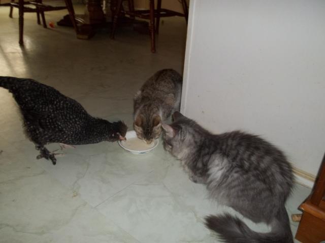 99301_093.jpg