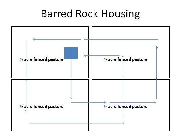99368_barred_rock_housing.jpg