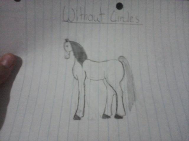 99411_horsey_of_mine_without_circles.jpg