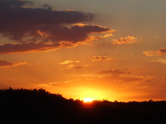 99411_sd536033.jpg