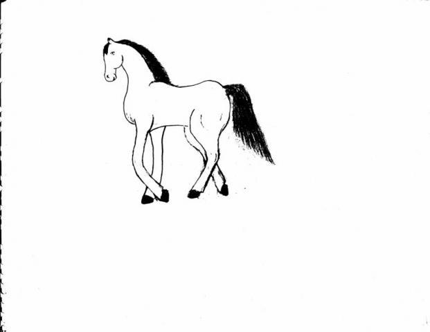 99411_trotting_horse.jpg