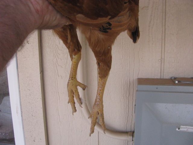 99626_img_3450.jpg