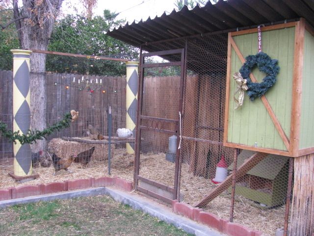 99626_img_3582.jpg