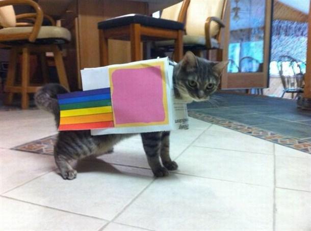99626_nyan_cat.jpeg