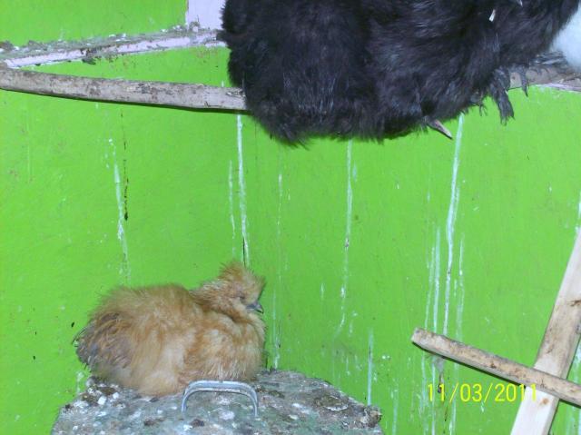 99916_oct_2011_044.jpg