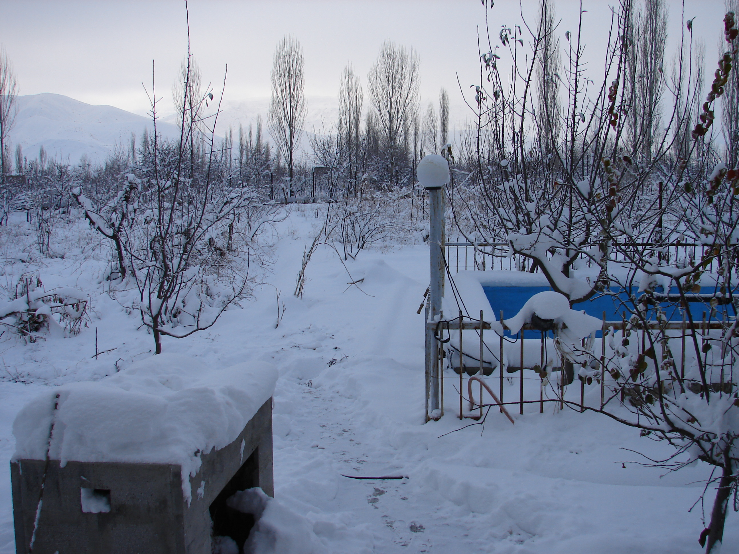 برف 60 سانتی