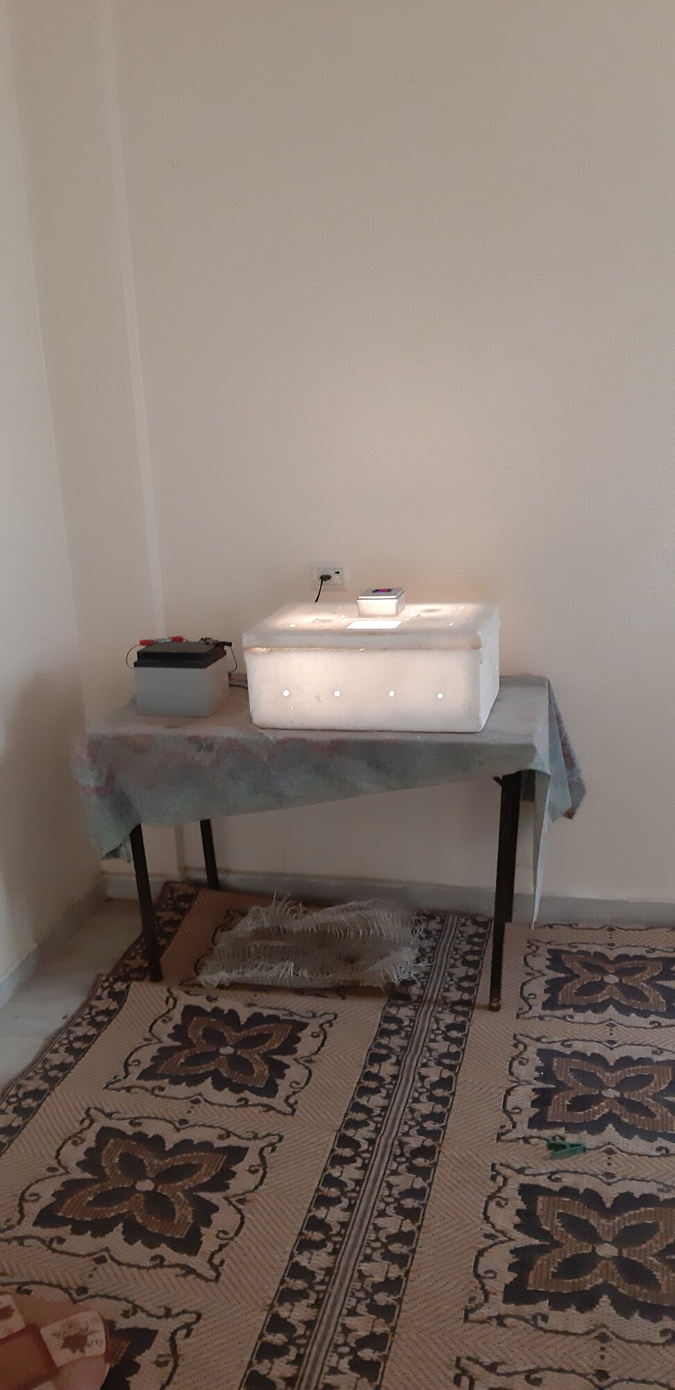 ٢٠٢٠٠٥٠٥_١٠٣٢٥٠.jpg