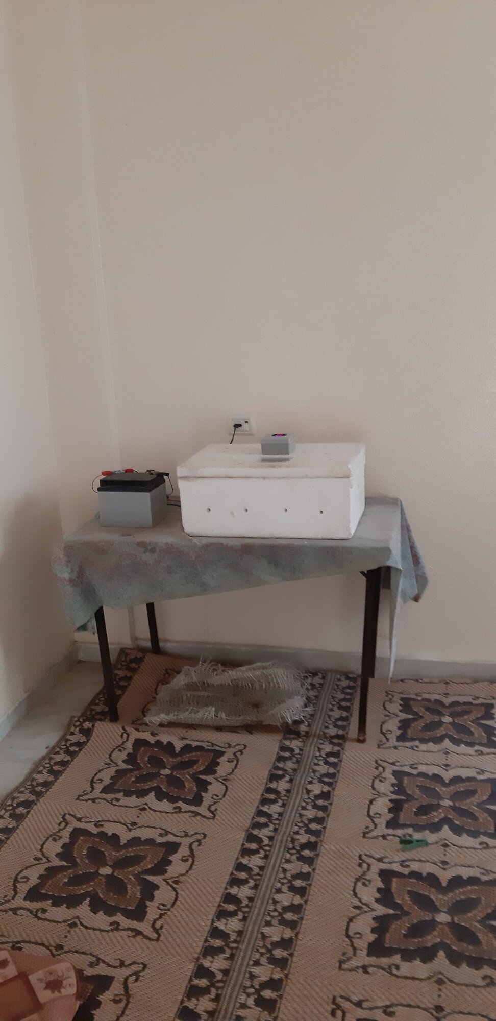 ٢٠٢٠٠٥٠٥_١٠٣٢٥٥.jpg