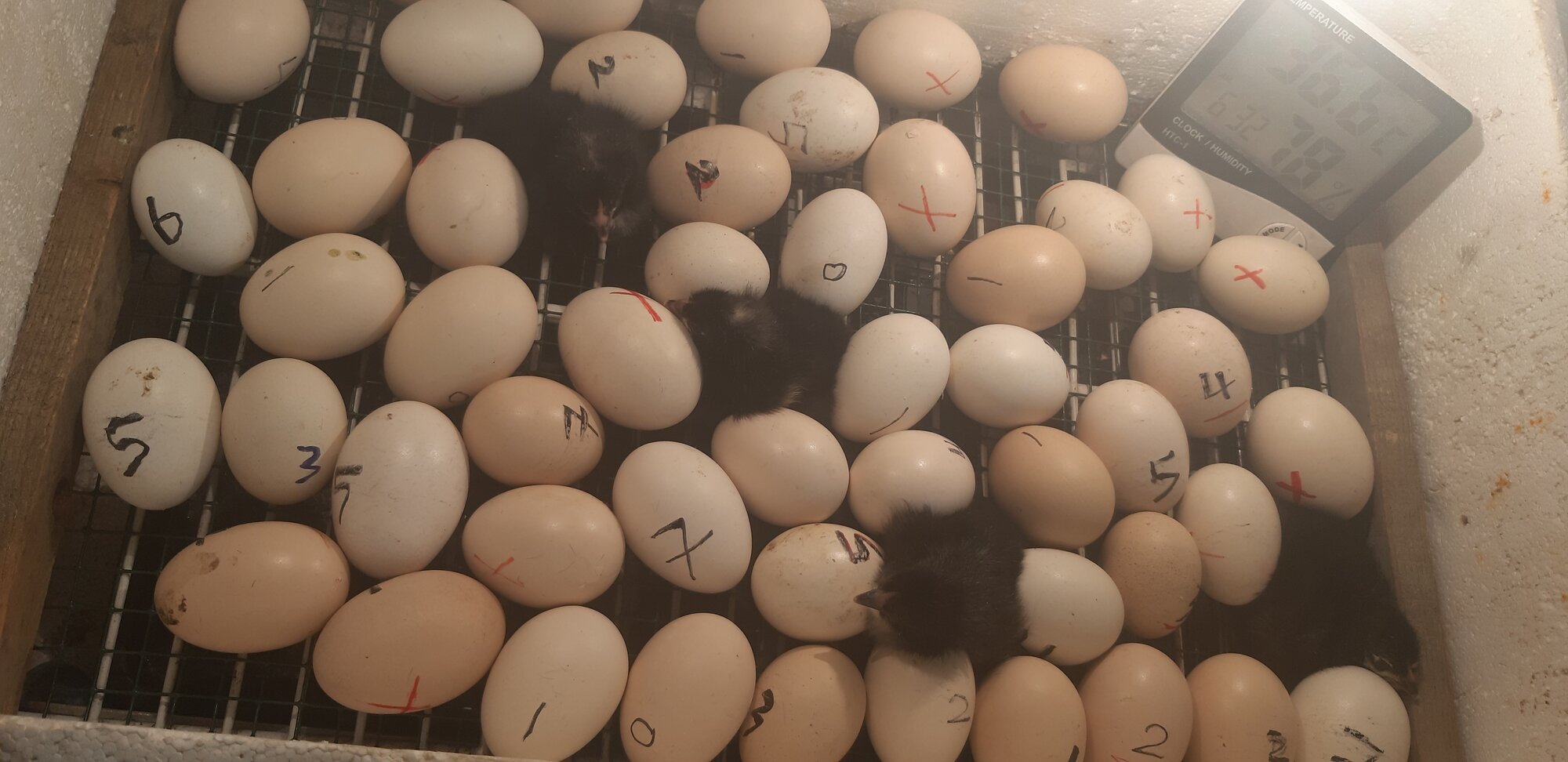 ٢٠٢٠٠٧١٧_٢٠٣١١٢.jpg