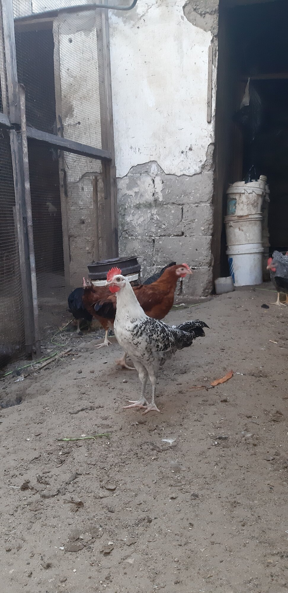 ٢٠٢٣٠٩٢٣_١٧٠٧١٥.jpg