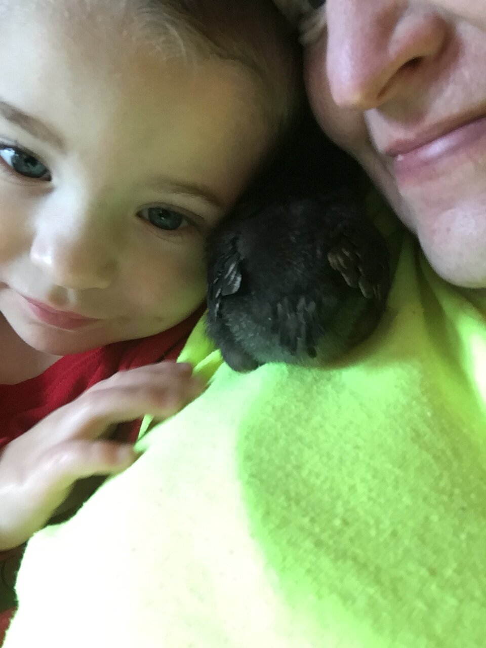 “Dot Head” at 9 days old