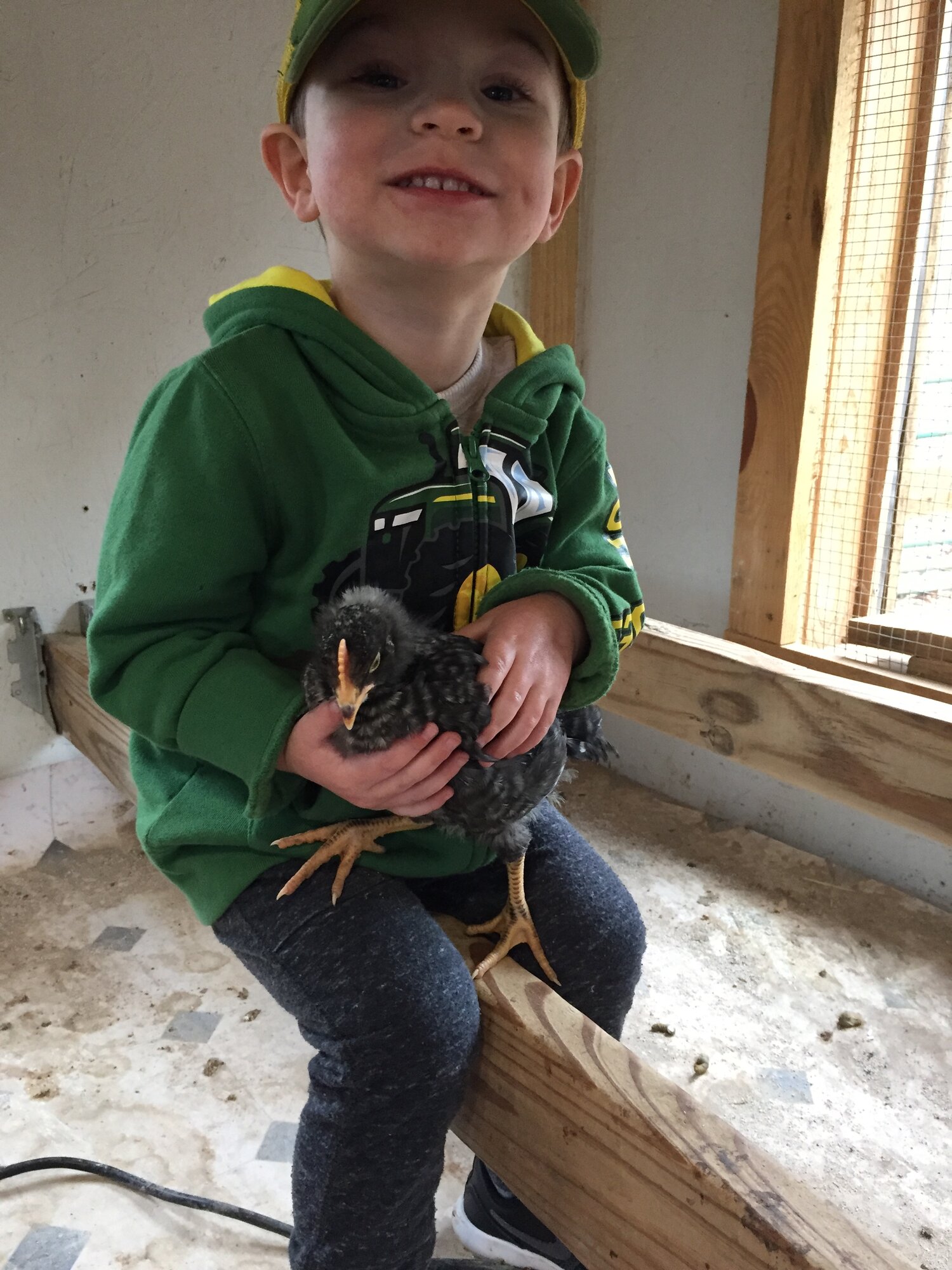 “Knucklehead” at 26 days old