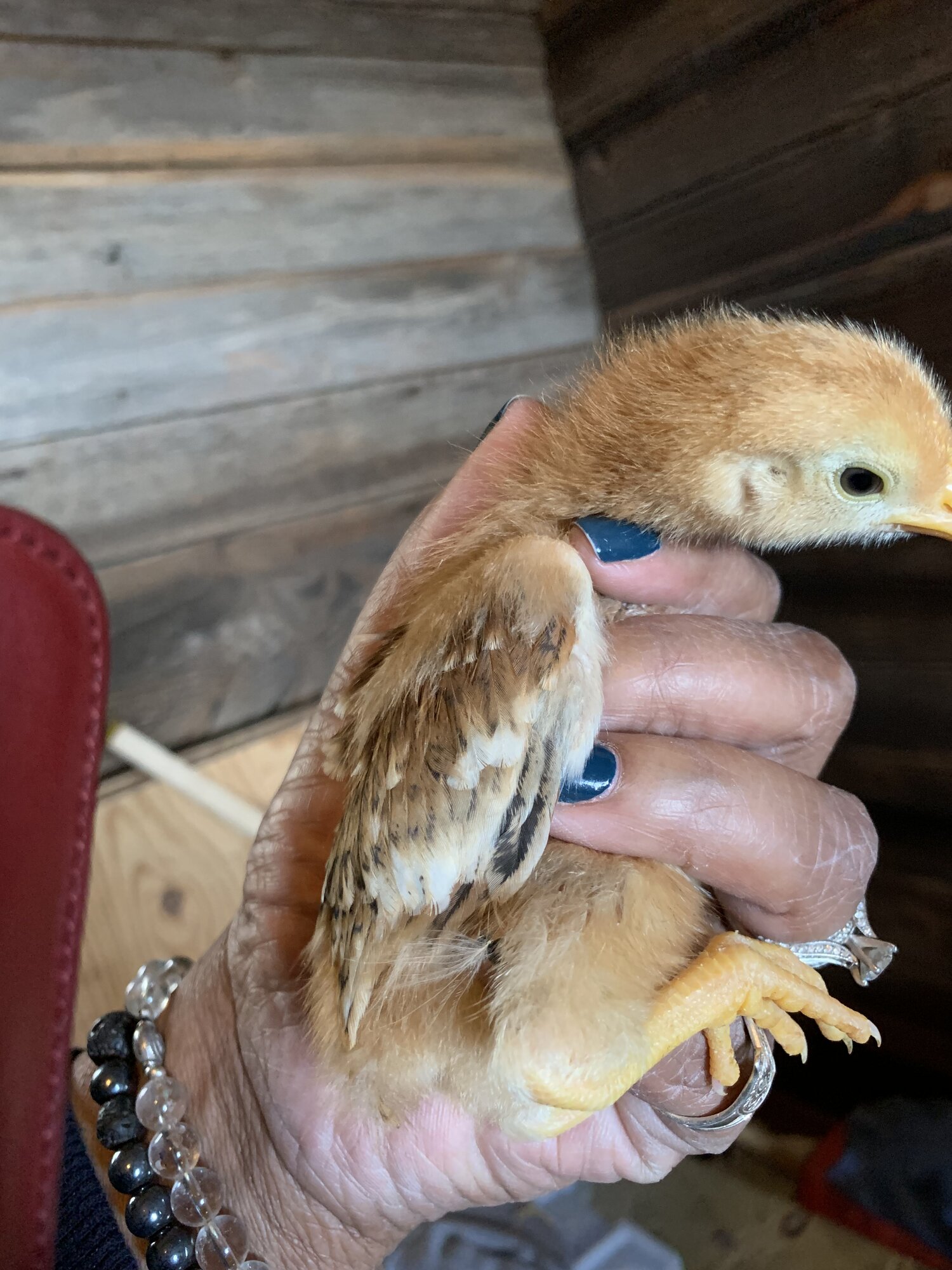 0198AA1E-64D6-4CA1-ACA3-4728765DAF82