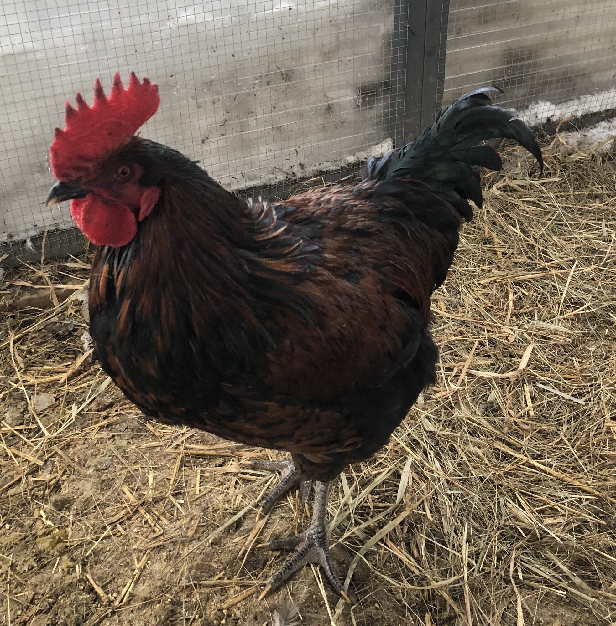 03F834B3-19F5-4517-ADFB-B9E6B766B12D