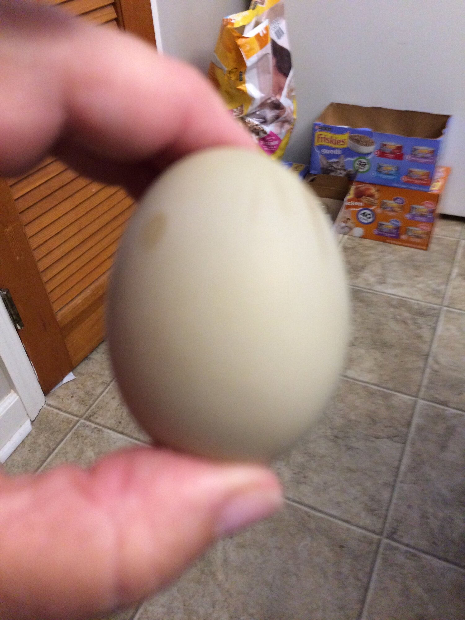 05652665-A61F-4ED0-B8F9-F6A04C8DA96F.jpeg