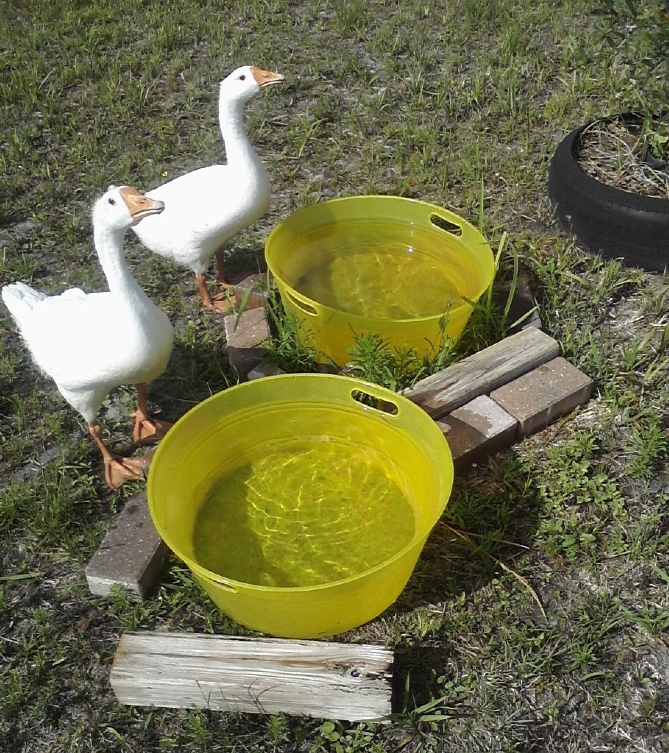 06142012 - 2 buckets