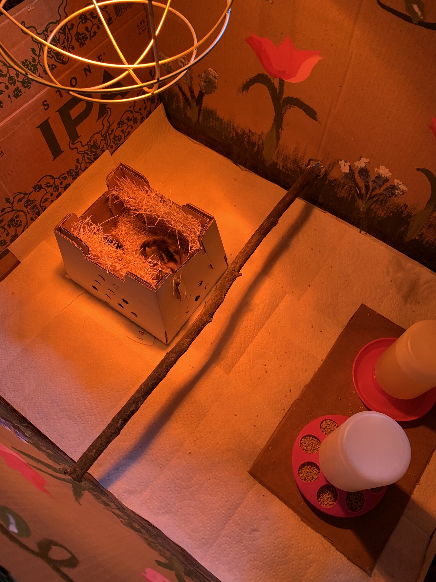 081AB12E-97BF-4278-85BB-0236C61267DF.jpeg