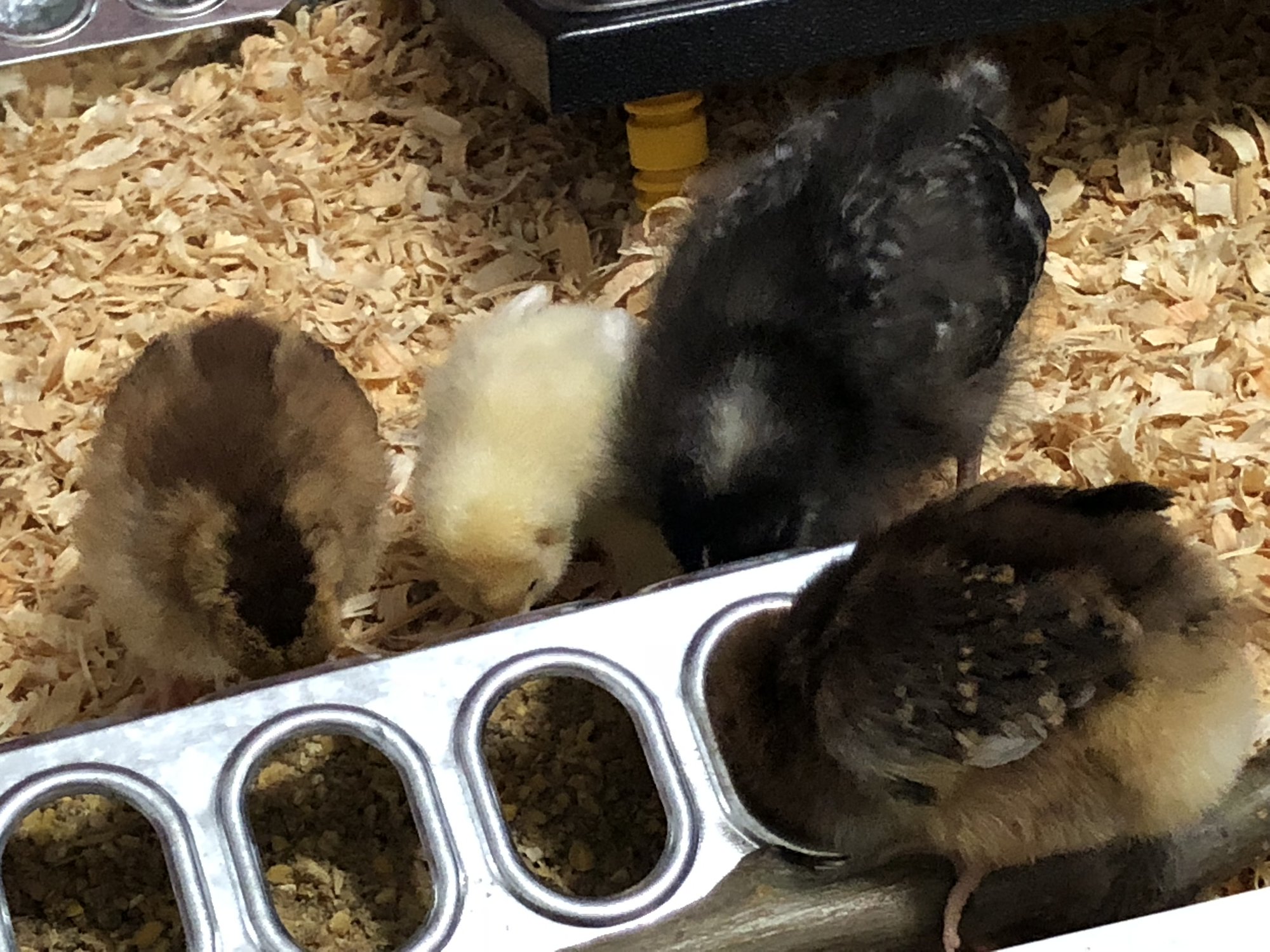 0CDAC5DE-E95F-4802-B5DC-6C4CAF7C5D2D