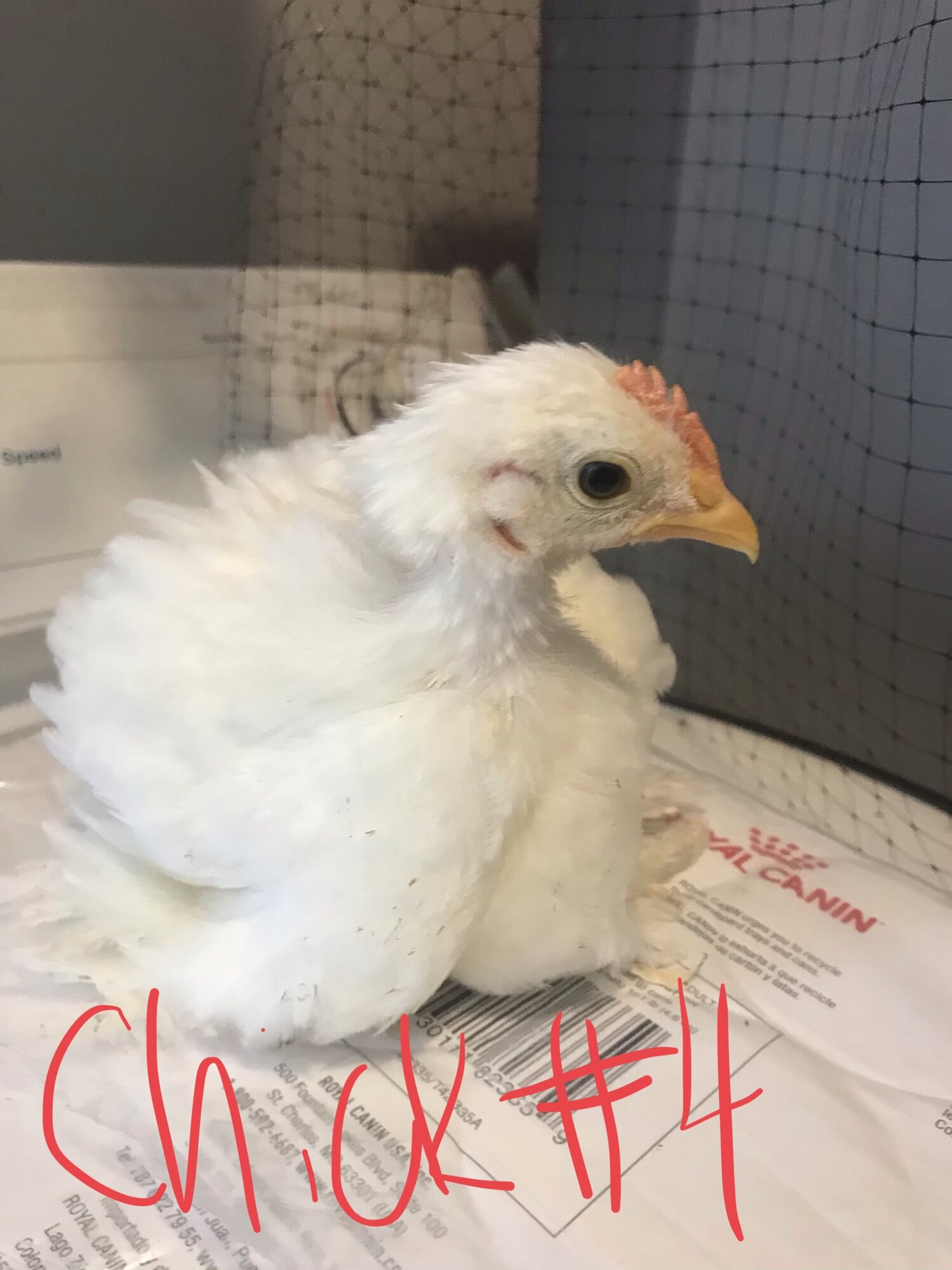 0E8912B9-B2D5-4168-B7A8-B6A886CF208A