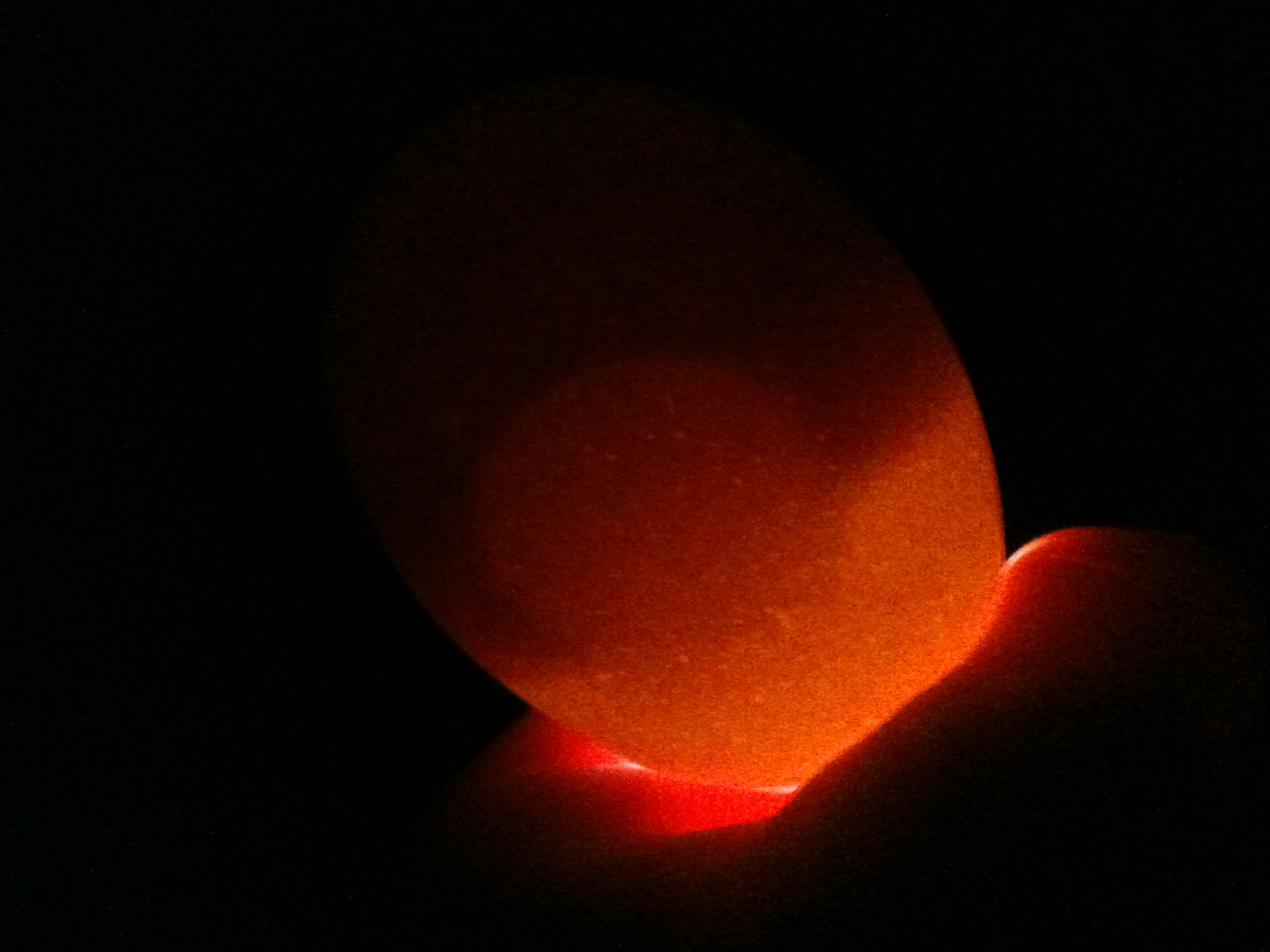#1 egg detatched air cell..