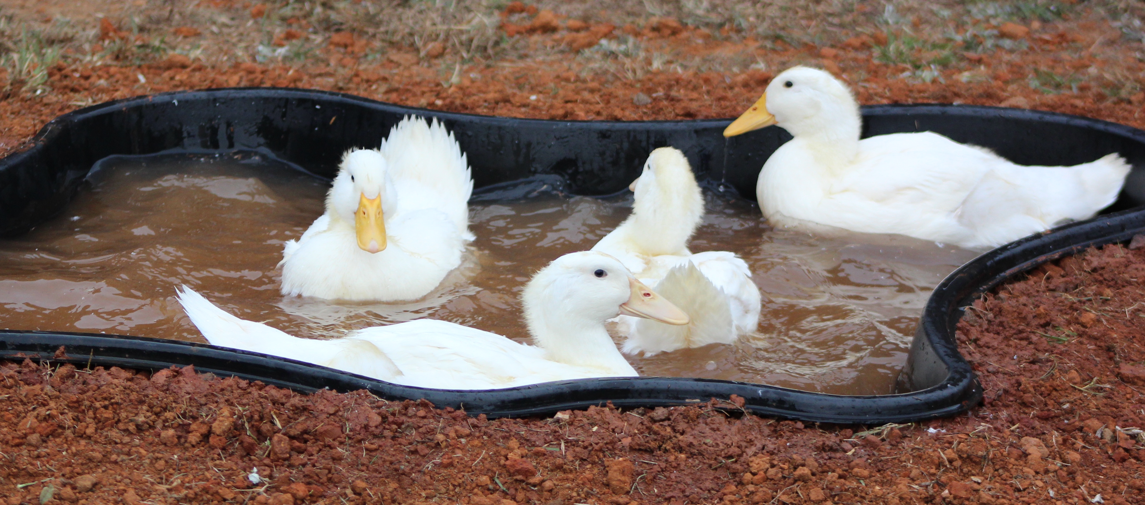 10/27/13 (1 mo 2 days) - Playin' in the water!