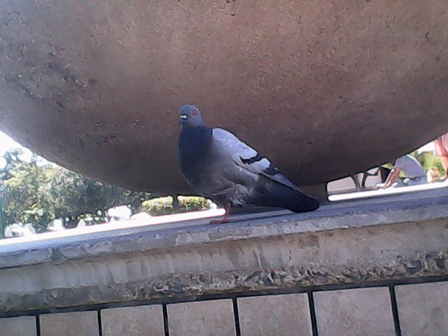 100_0340.JPG