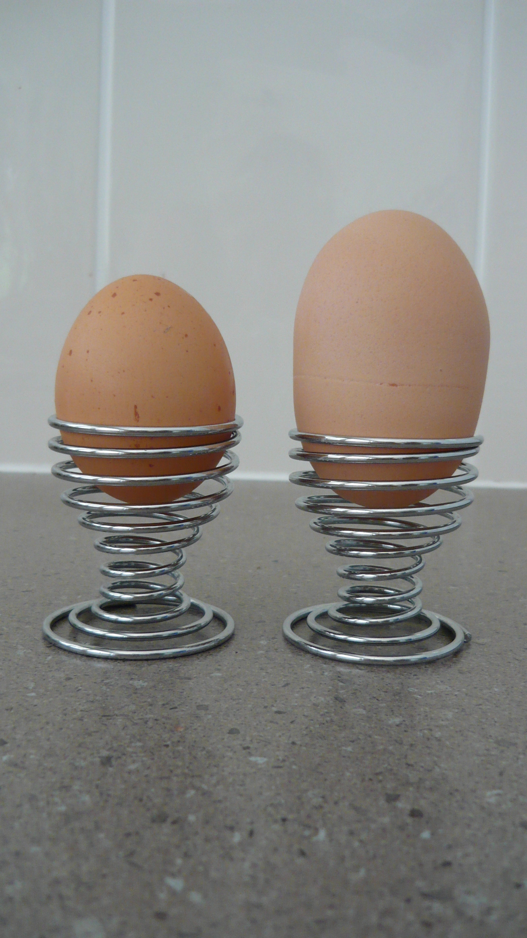 101g egg!