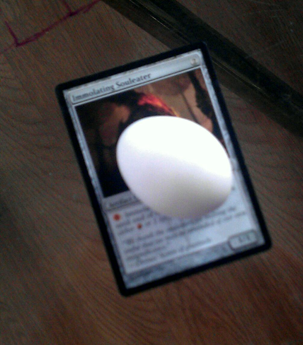 11-12-2013 Chickadee Egg
