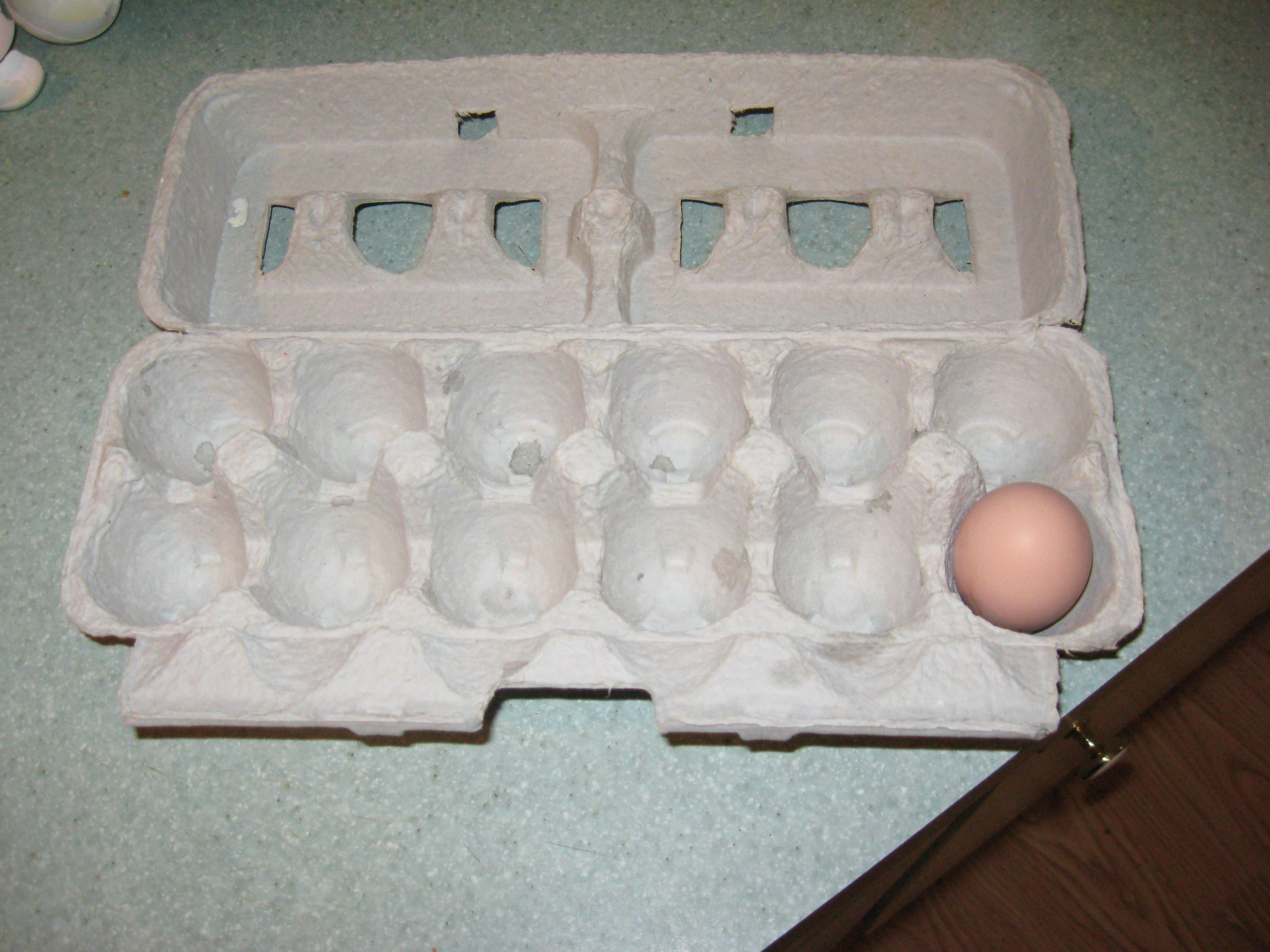 11 more to go for our first dozen.
