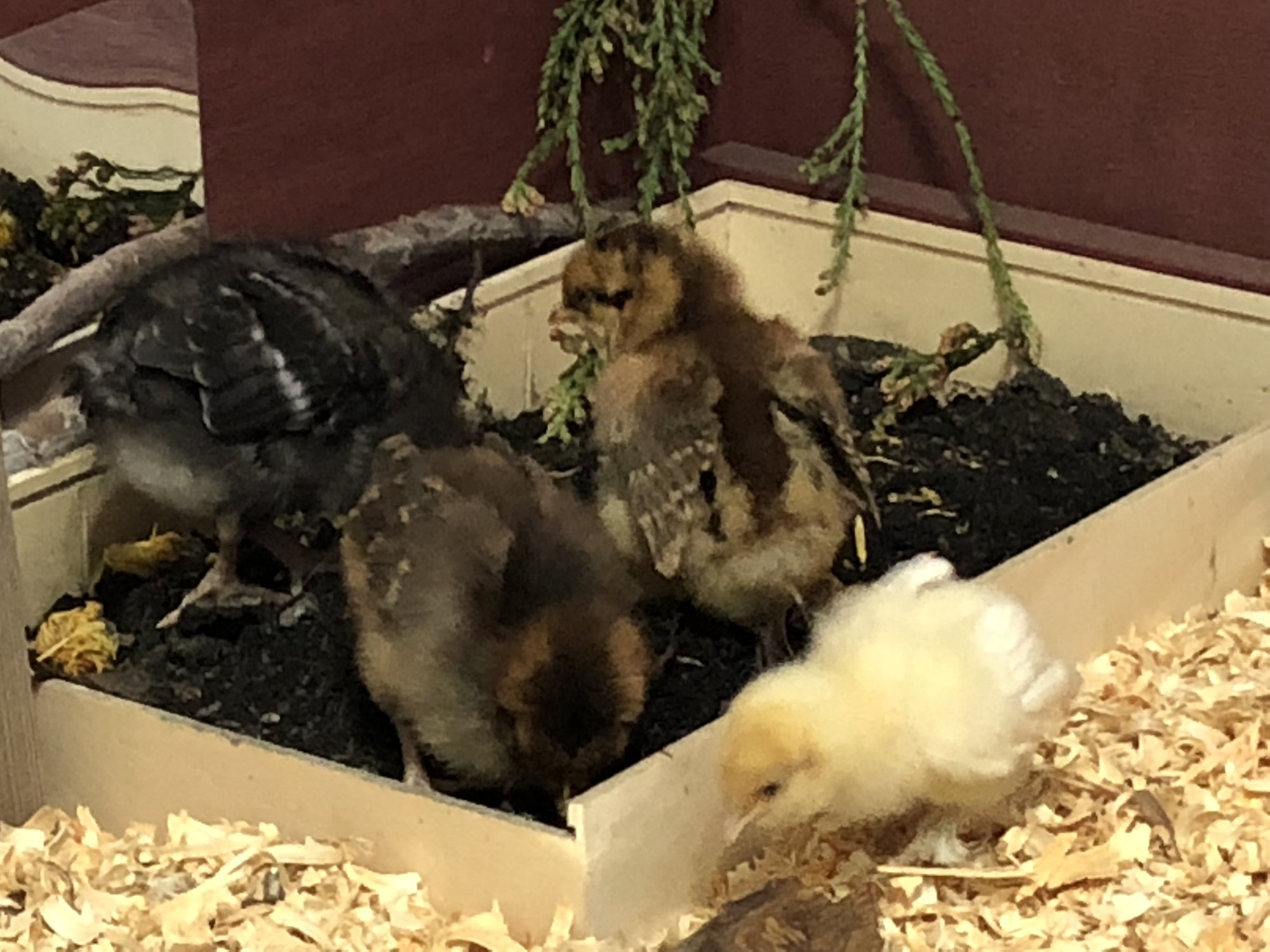 12C76A8F-149B-4D3E-9DB1-79EAD1CEA33F