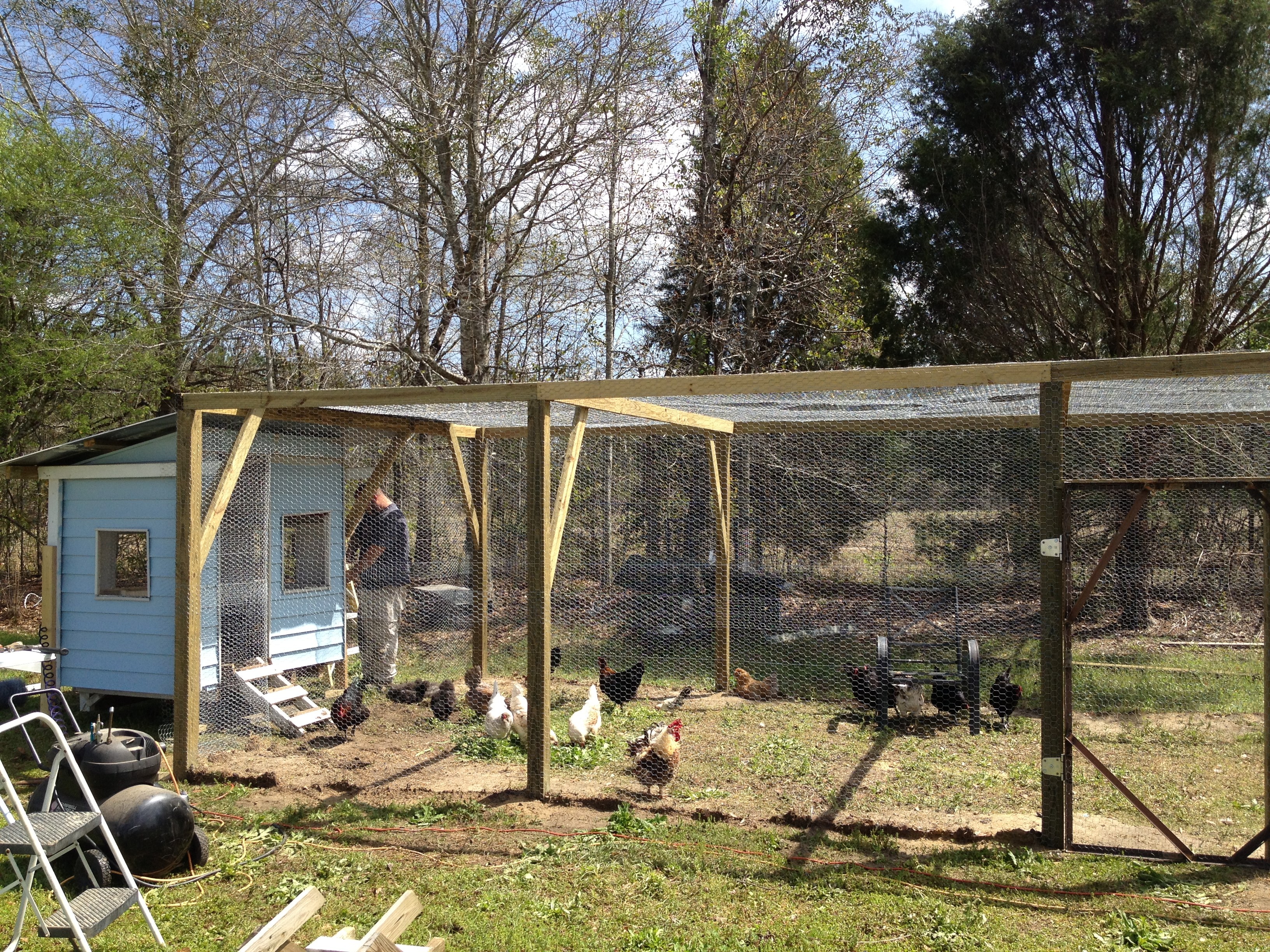 12'x24' run. Please excuse the mess around it.