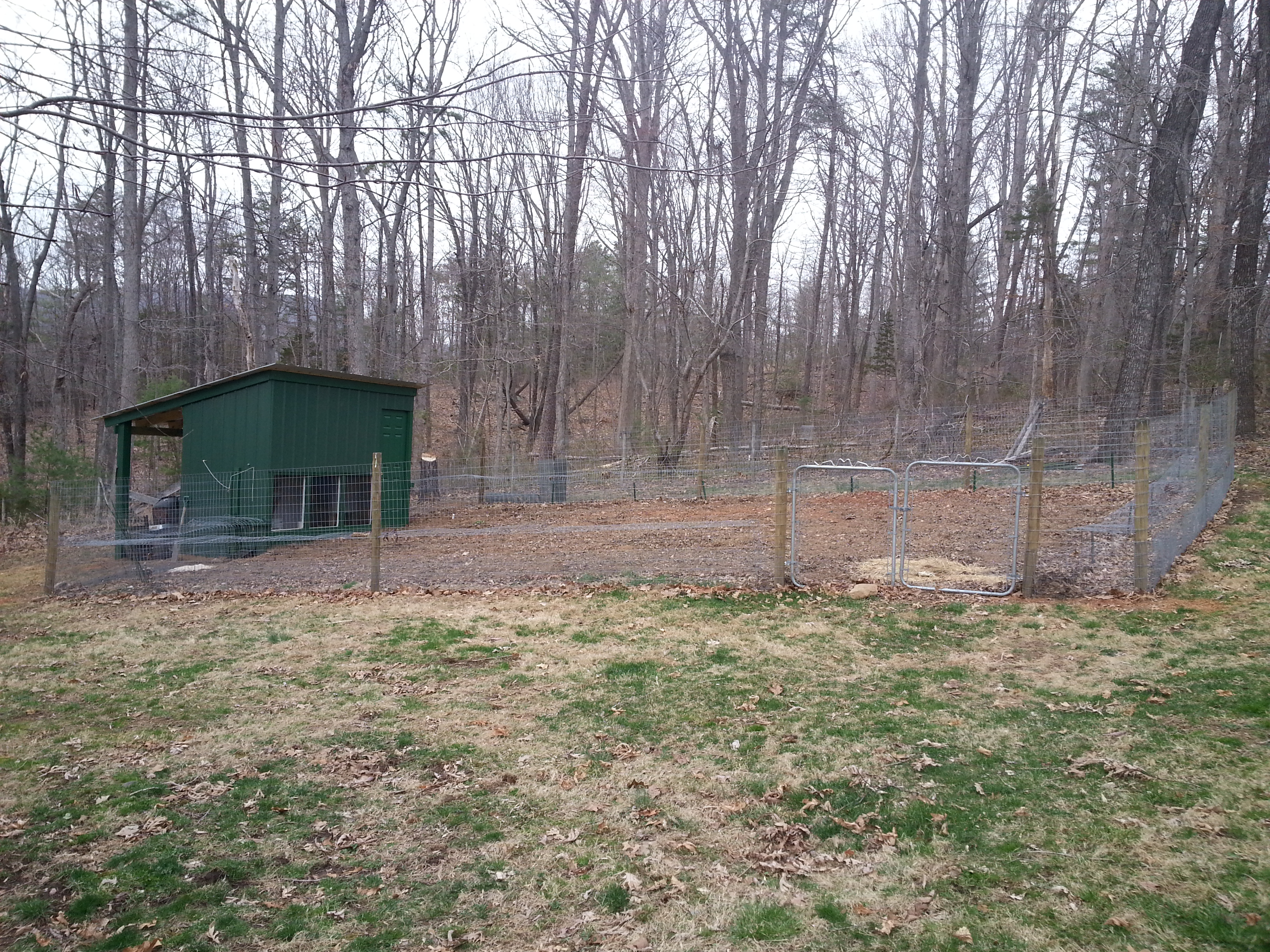 12x6 coop at the end of garden, 5' fence around garden, 2x2' run around inside of fence