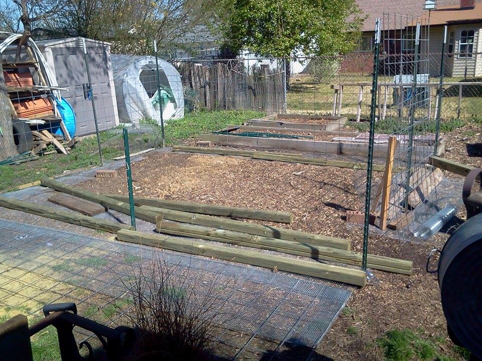 *16ftx12 ft area. Laying fencing down under the frame. Using cattle panels for the sides, then will cover the cattle panels with fencing.