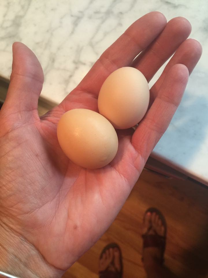 1st 2 eggs!
