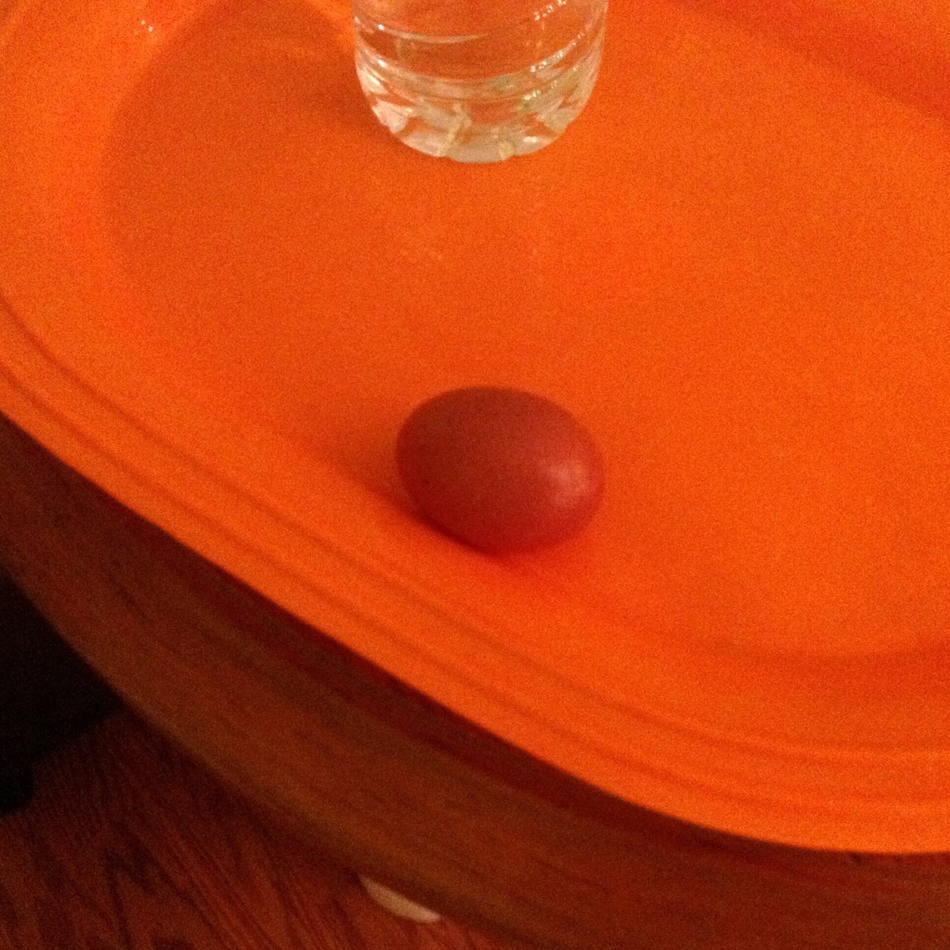 1st BCM egg @ 20 weeks