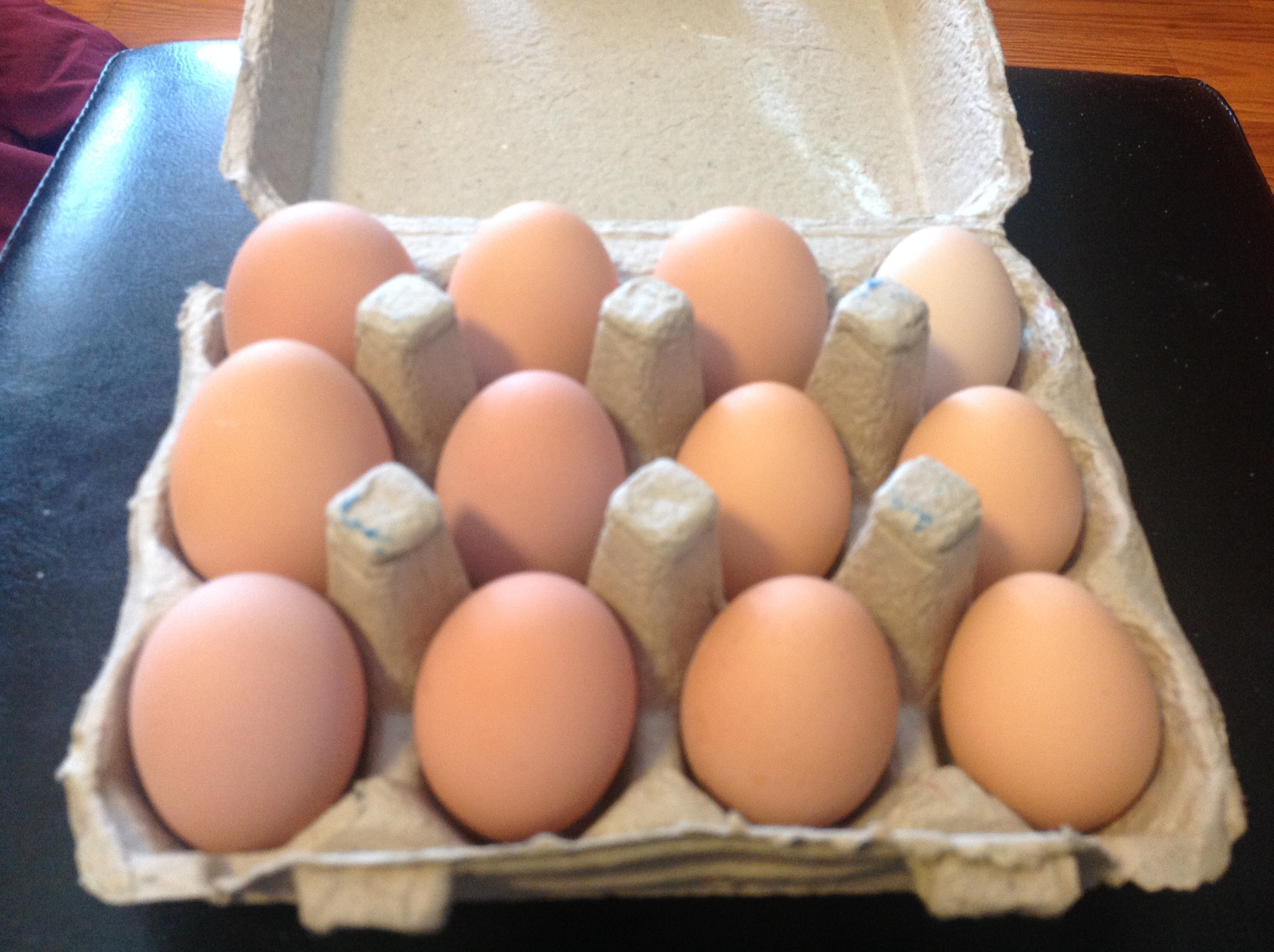 1st dozen from Buff Orpingtons!