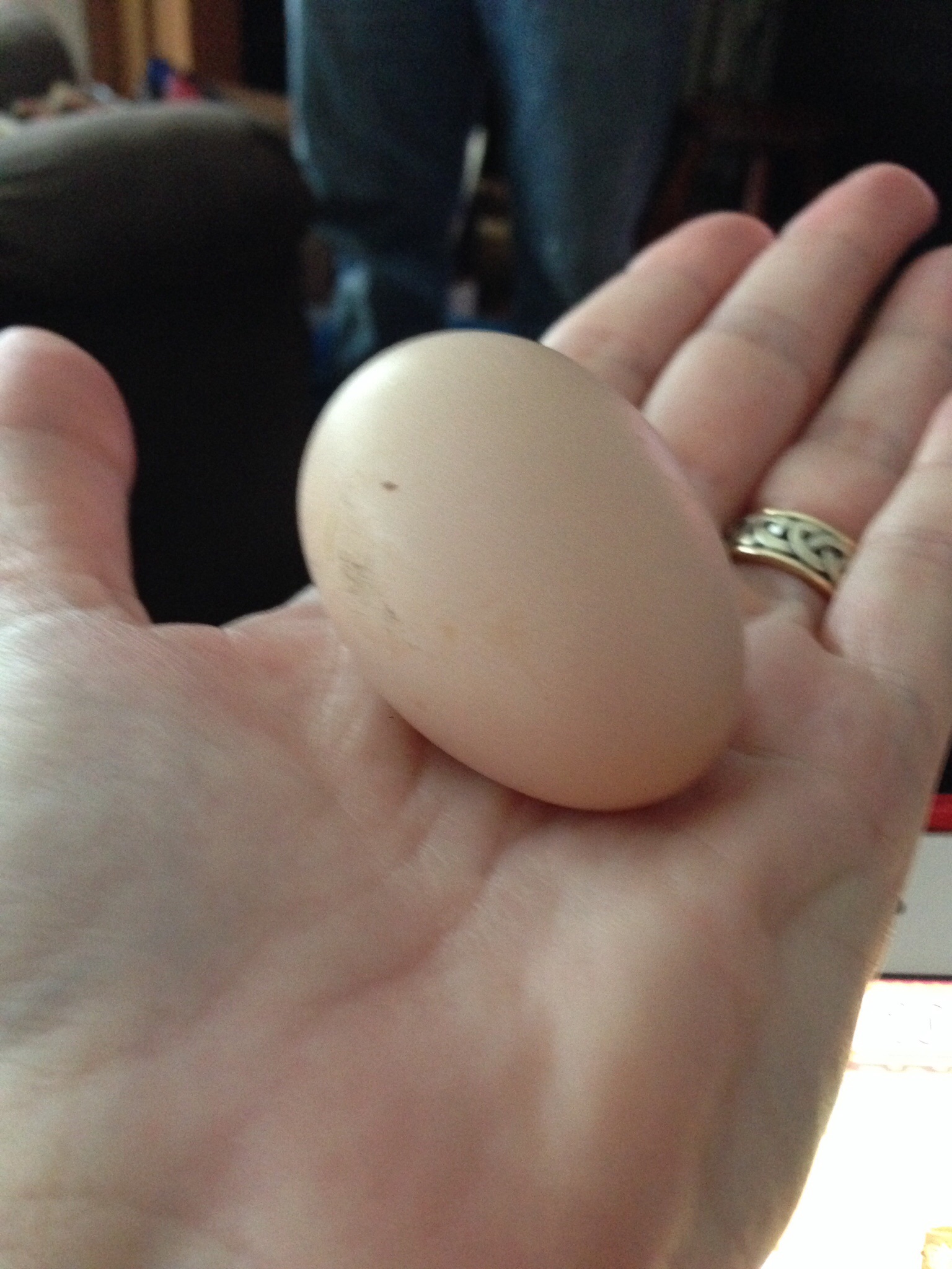 1st Egg! 
I'm so Happy!!!