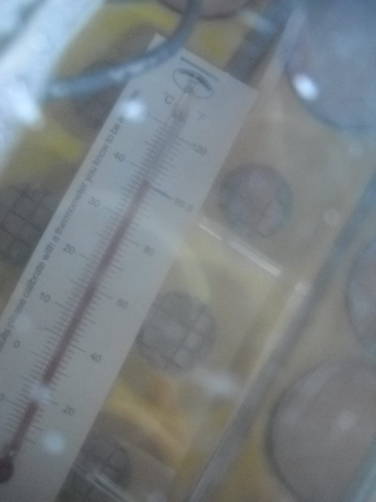 1st incubator setting