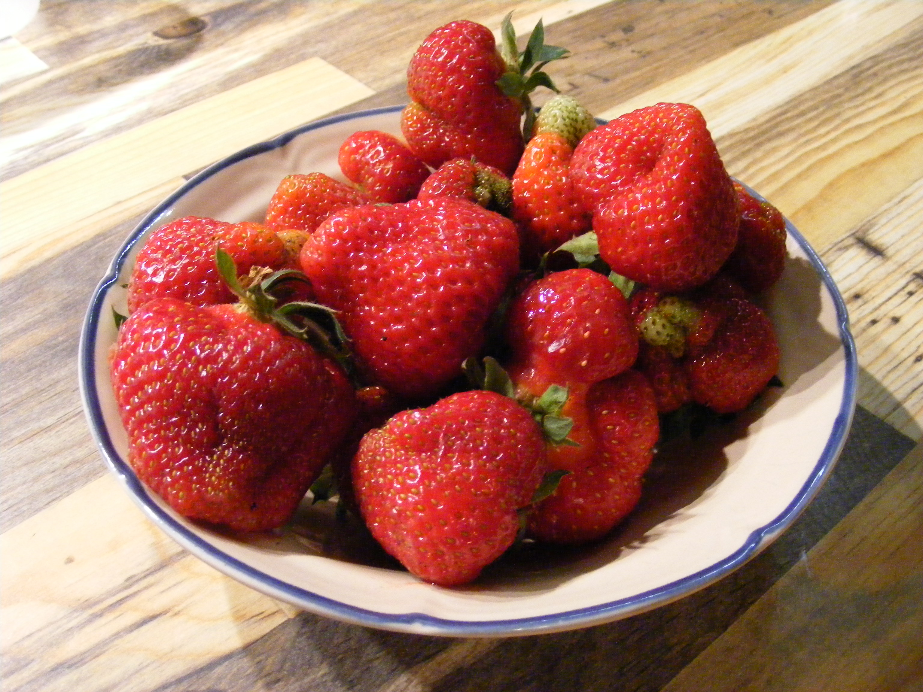 1st of the season from the garden!