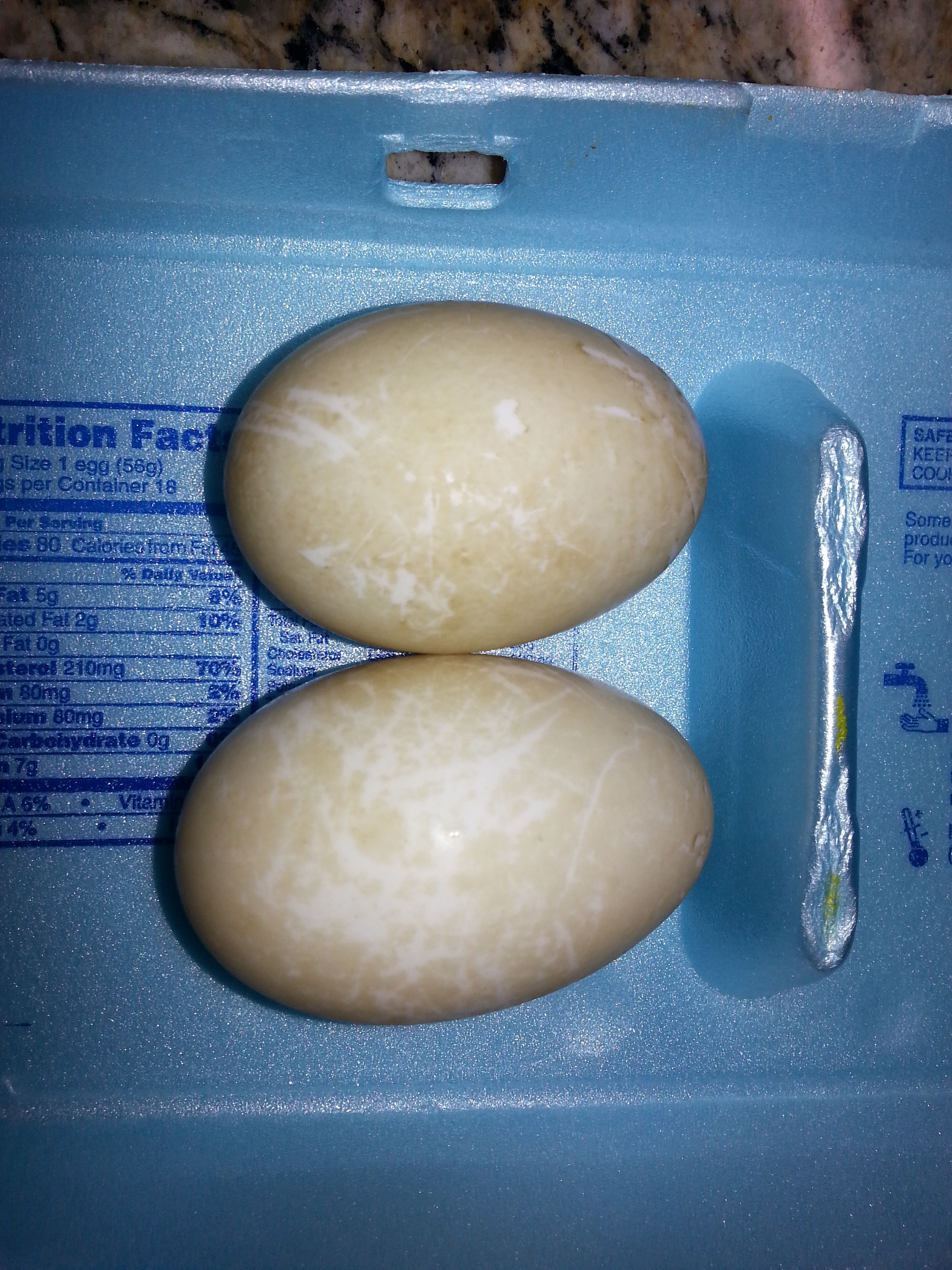2/2/13 & 2/4/13 - Our first eggs! (no hatchlings for us though)