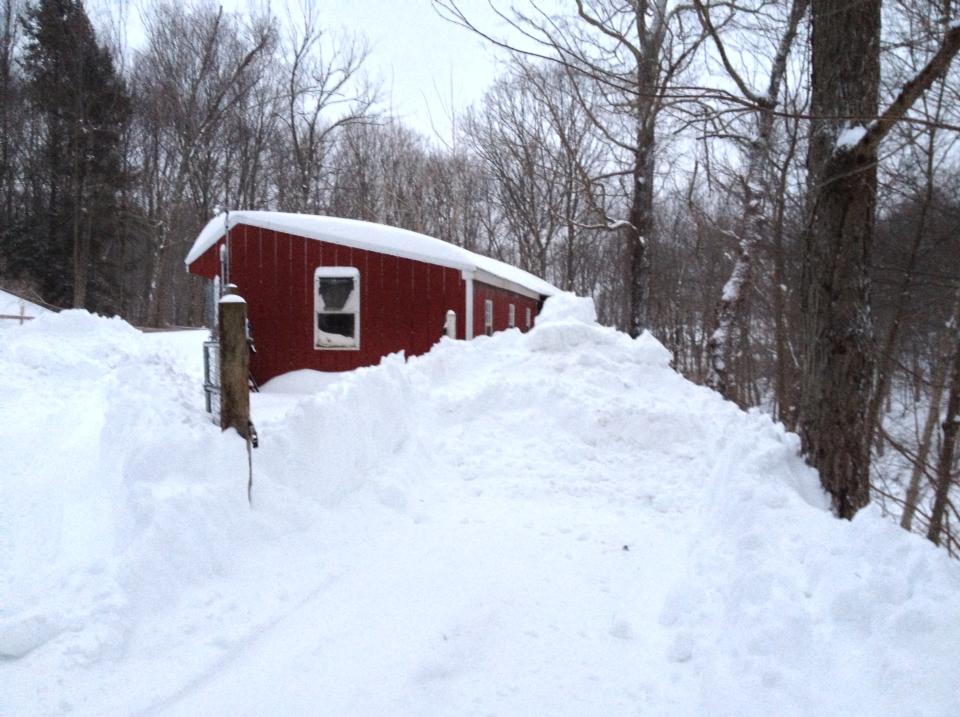 2/9/13 Snowstorm Pic