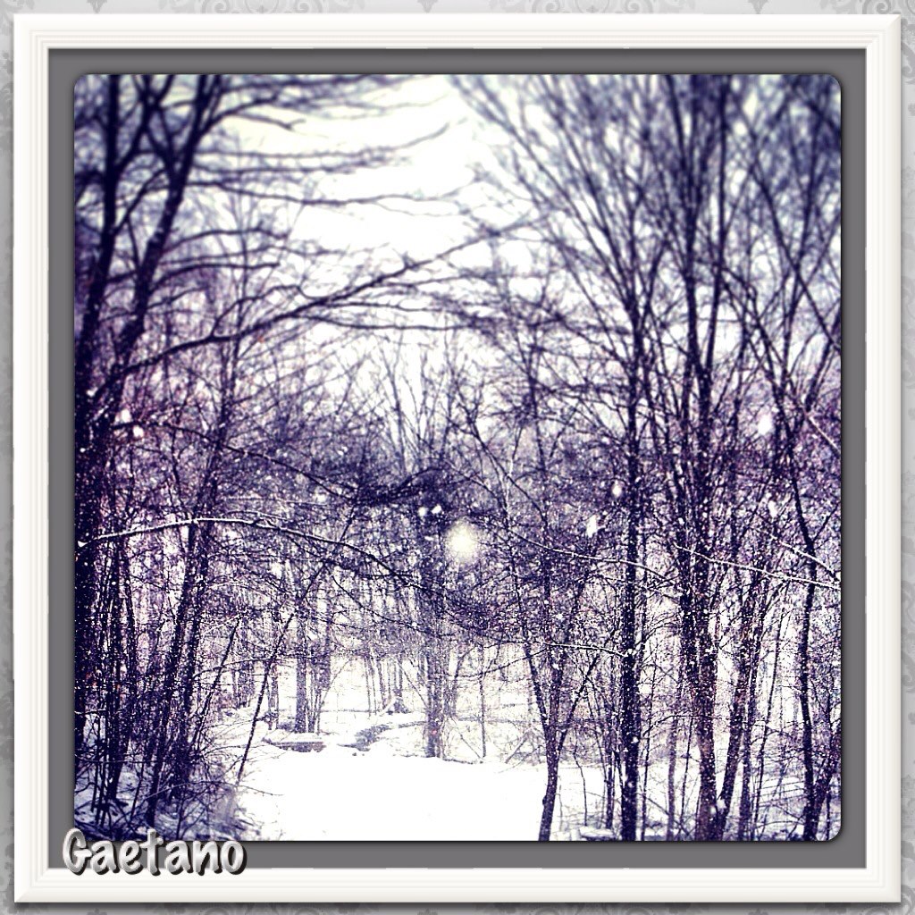 2/9/13 Snowstorm Pic