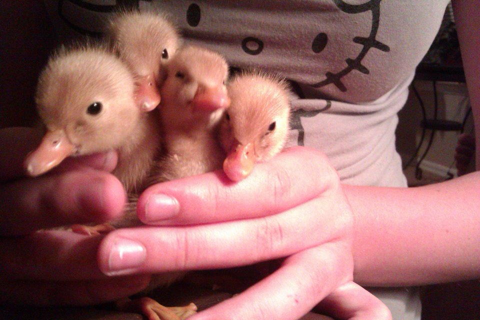 2 days old. No names yet. :)