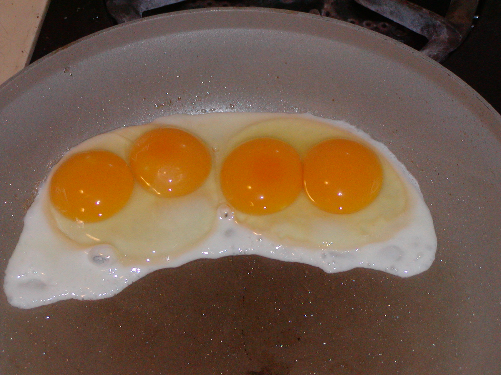 2 double yolk Ancona eggs