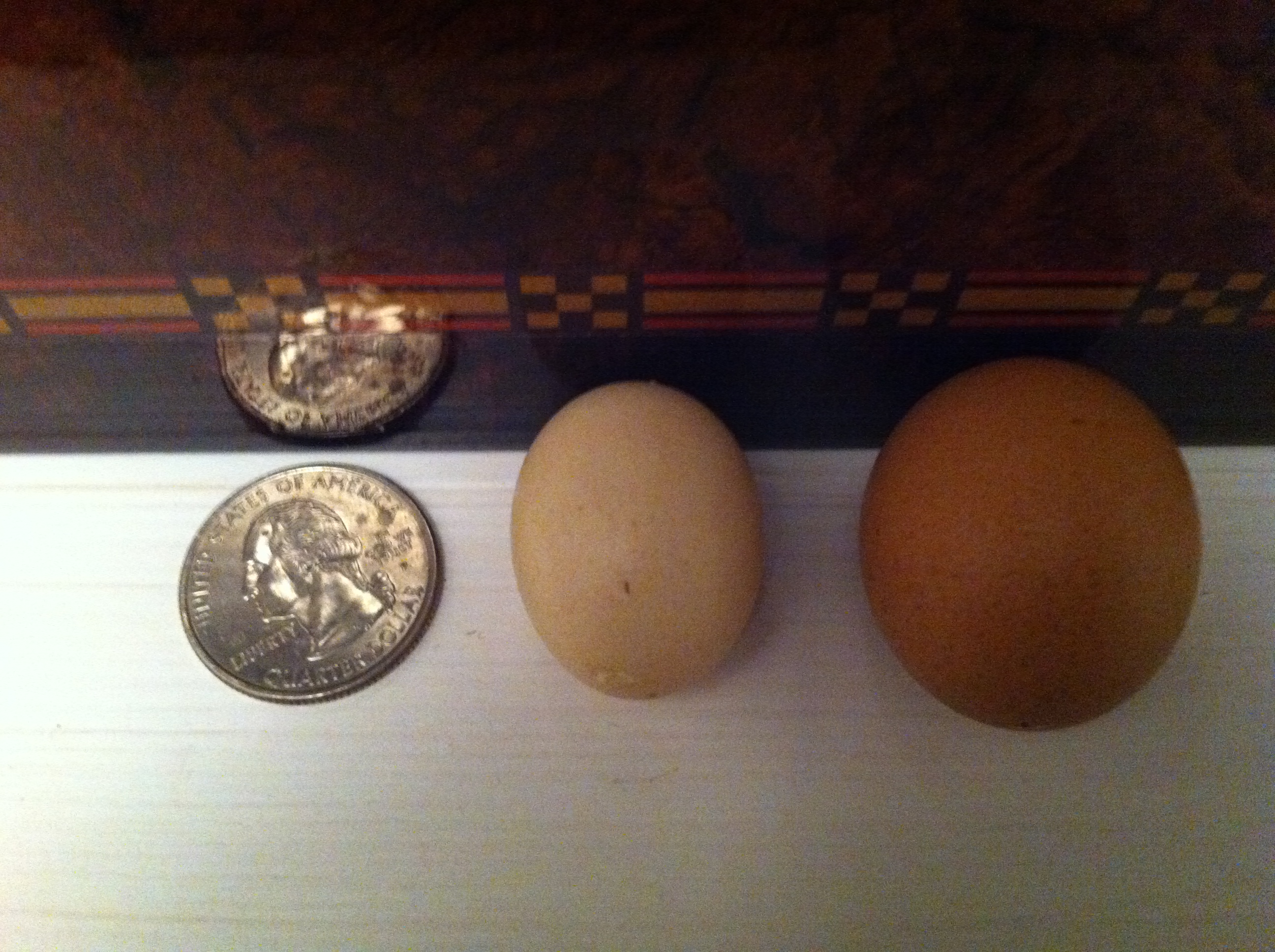 2 pullet eggs,neither one is from a bantam.They are just 2 hens first eggs.