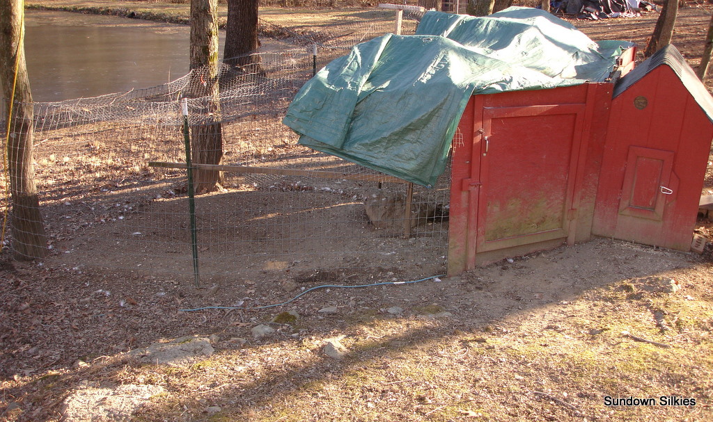 2 section silkie coop.