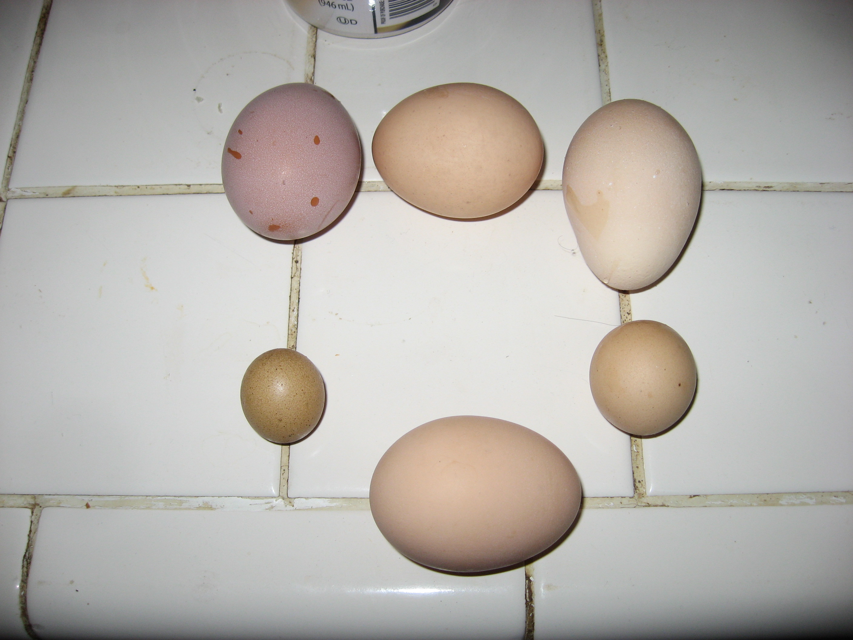 2" X 3" and 1" X 3/4" and a 1 1/4" round egg